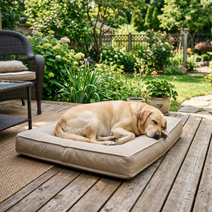 Custom Shape Pet Beds