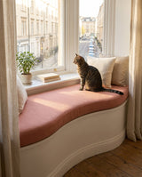 Cat on a terracotta curved window seat cushion by a city window, made to measure by Foamera