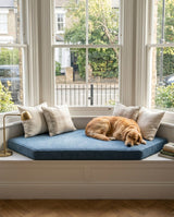 Dog sleeping on a blue cushion on a bay window seat
